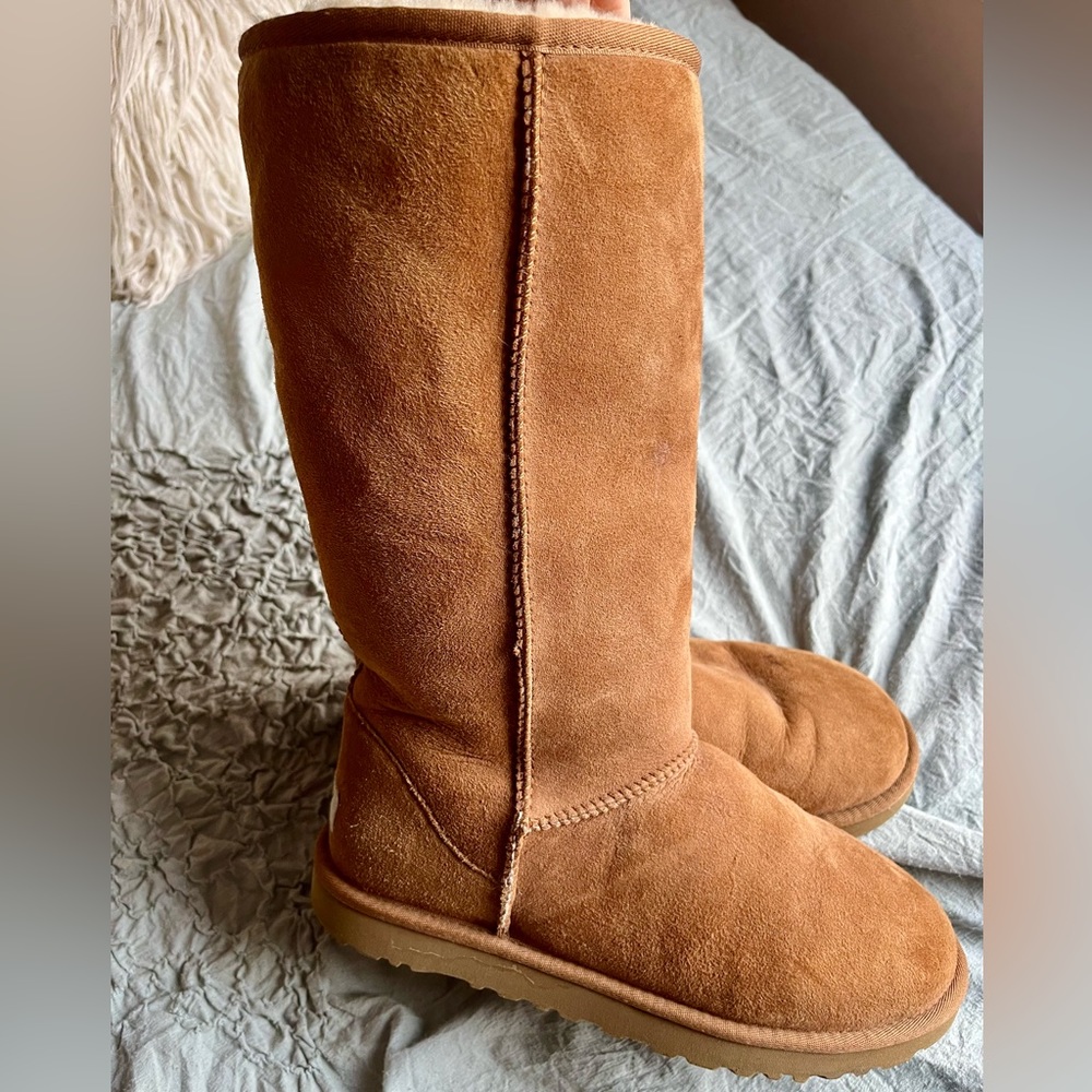 Chestnut Uggs - Classic Tall II